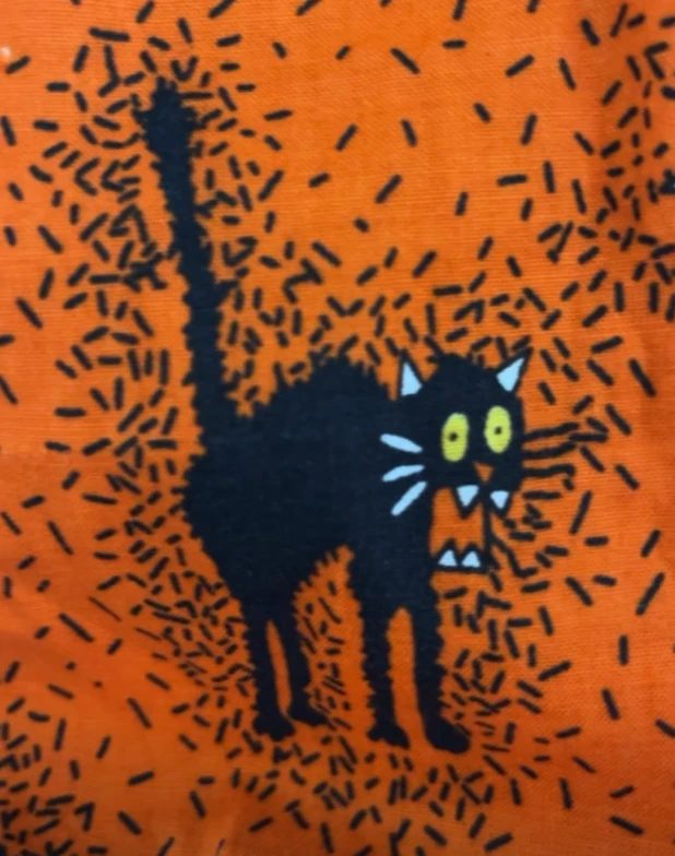 Halloween cotton print of a startled black cat on orange, the tote bag fabric